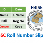 FBISE SSC Roll No Slip 2024