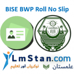 BISE Bahawalpur (BISE BWP) Roll No Slip 2024