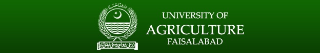 University of Agriculture Faisalabad (UAF)