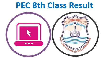 8th Class Result 2024