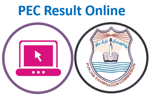 PEC Result 2024 8th Class and 5th Class