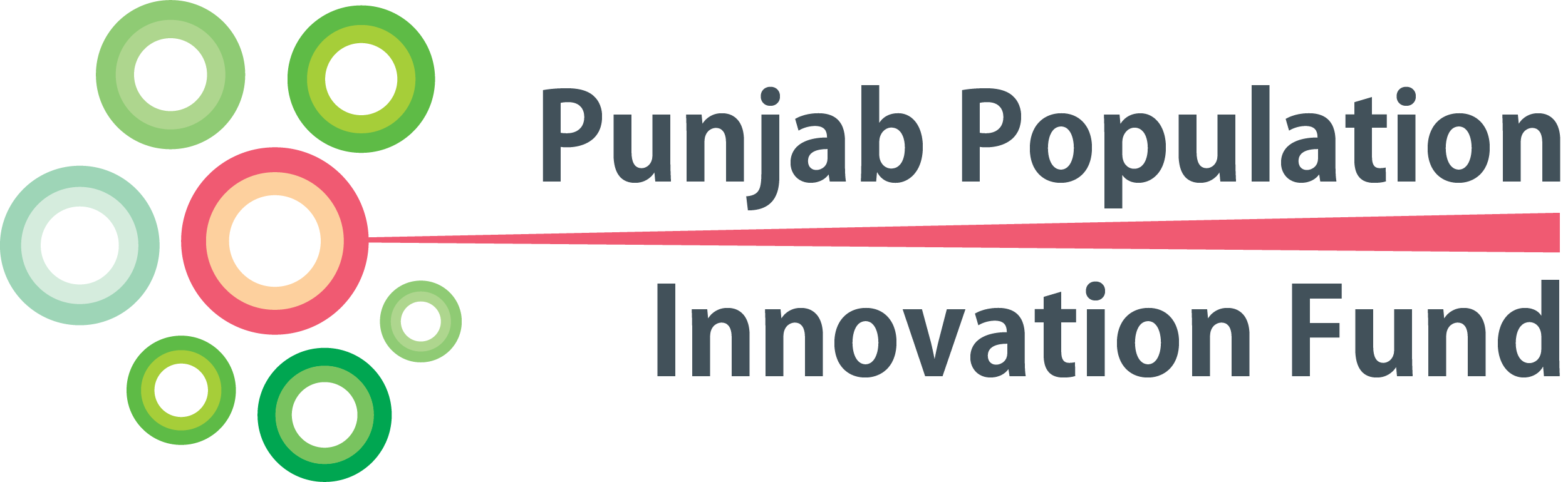 Punjab Population Innovation Fund (PPIF)