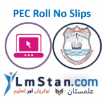 PEC Roll No Slip 2024 (5th and 8th Class) Download