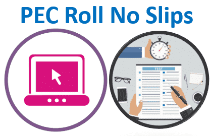 PEC Roll No Slip 2021 (5th and 8th Class) Download