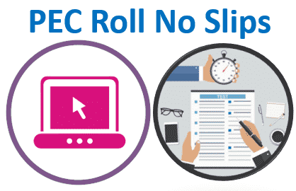 PEC Roll No Slip 2024 (5th and 8th Class) Download