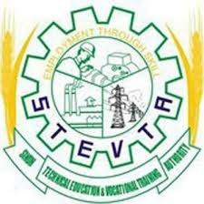 Sindh Technical Education and Vocational Training Authority (STEVTA)