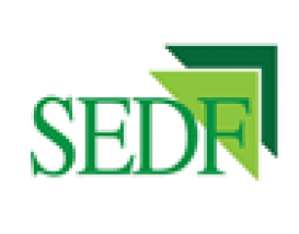 Sindh Enterprise Development Fund (SEDF)