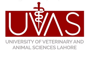 University of Veterinary and Animal Sciences (UVAS)