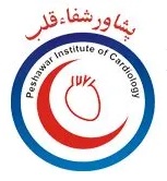 Medical Teaching Institute Peshawar (MTI)