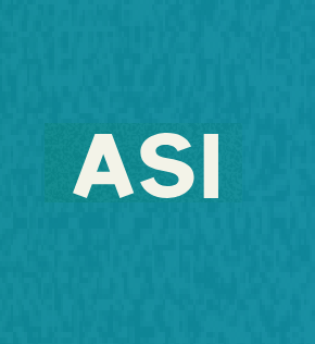 Adam Smith International Jobs